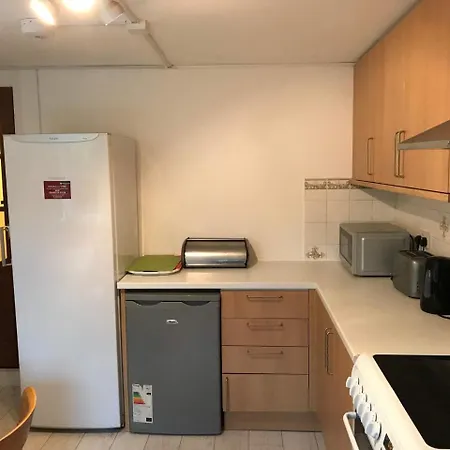 Netheredge Apartment *